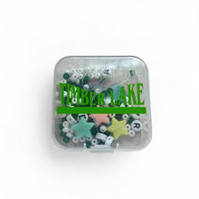 Load image into Gallery viewer, Personalized Seed Bead Camp Bead Kit