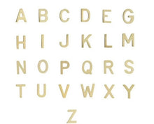 Load image into Gallery viewer, Floating Pave Charm Locket