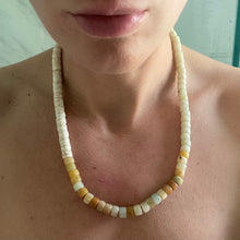 Load image into Gallery viewer, So Neutral! 3-in-one!