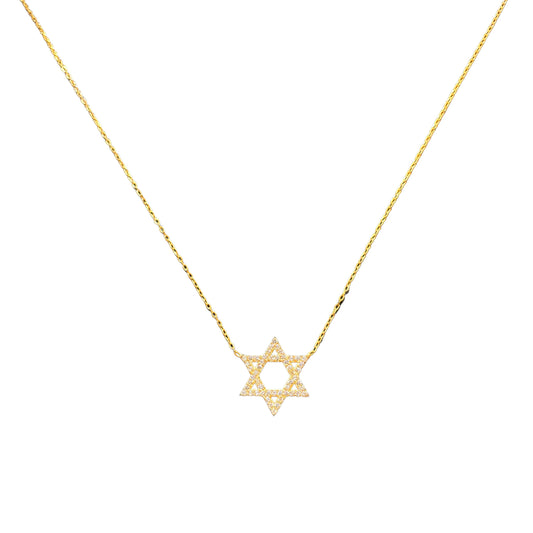 Golden Star of David Necklace
