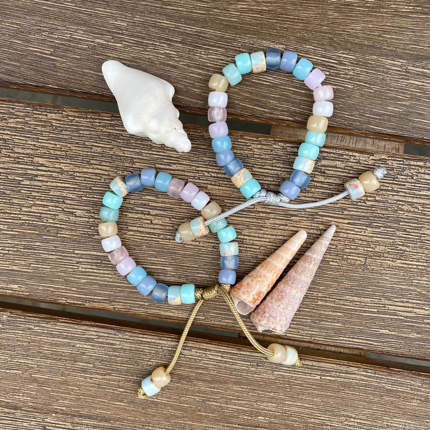 Sea Shells
